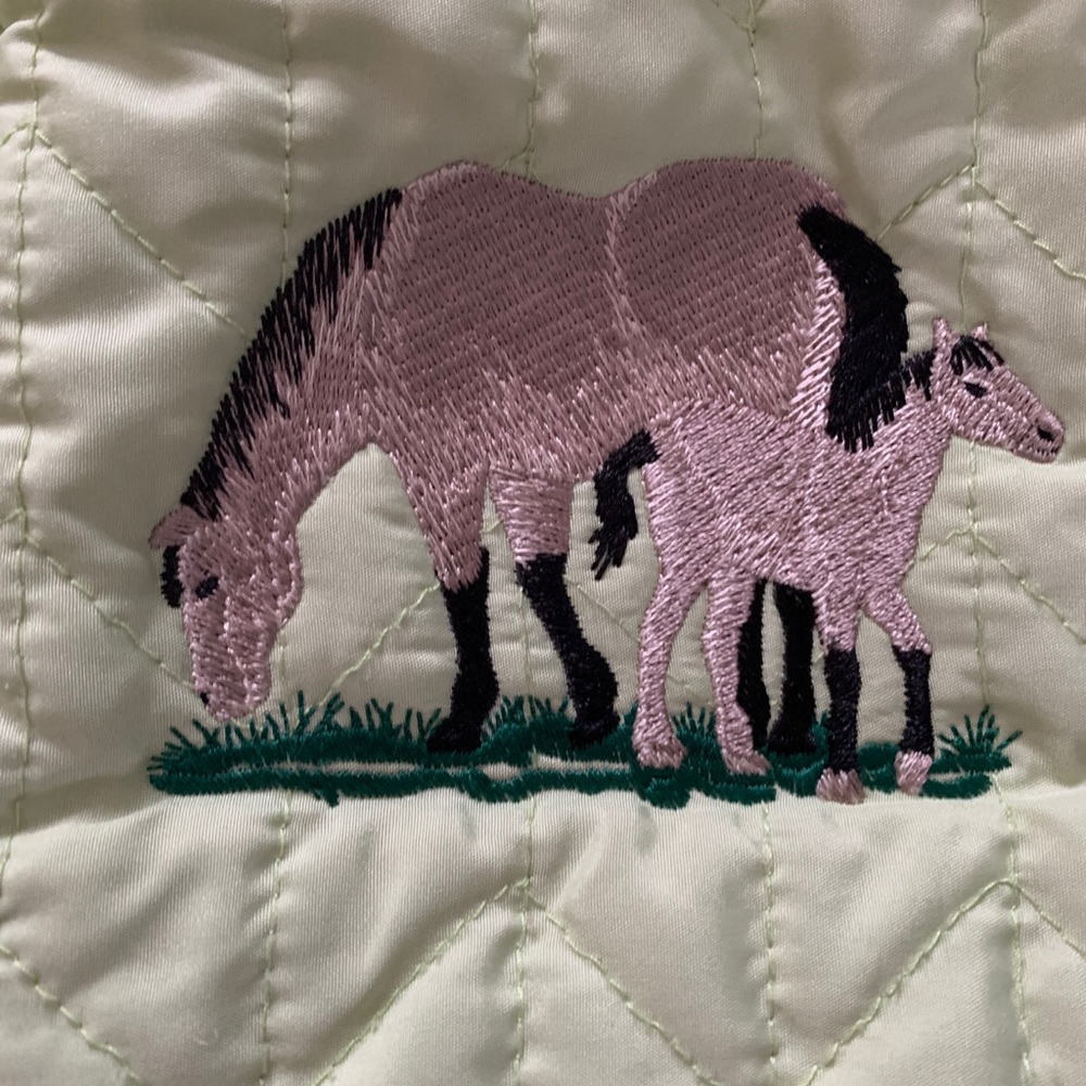 Embroidered Jacket - Picture 2 of 2